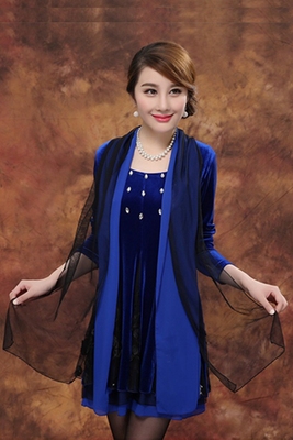 2015春装新款韩国金丝绒刺绣中年大码女装宽松显瘦高端妈妈连衣裙