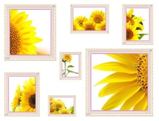 客厅十字绣精准印花向日葵的微笑七联最新款花草系列卧室正品包邮