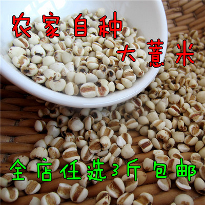 农家自产 大薏米 薏苡仁 薏米仁 五谷粗粮 杂粮 优质新货250g包邮