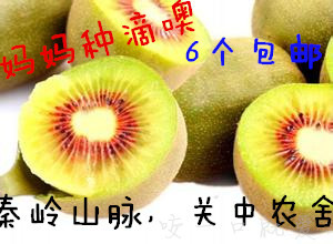 陕西眉县红心猕猴桃红阳奇异果6个包邮孕妇新鲜水果有机试吃