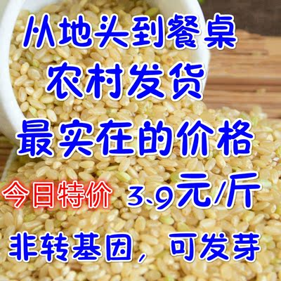 【枣庄农家】新鲜糙米 有机胚芽米 发芽大米  杂粮粗粮500g