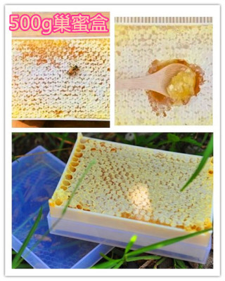 500g巢蜜盒优质透明塑料巢蜜格蜂巢蜜盒原生态巢蜜盒巢蜜包装盒