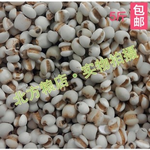 新货精选小粒薏仁米 薏米仁 贵州高原特产 健脾祛湿免邮 500克