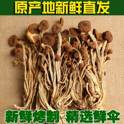依伯新货古田茶树菇干货农家自产特级不开伞茶新菇冰菇特产 250g