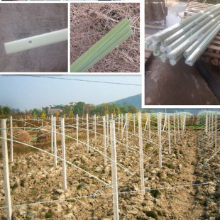 玻璃纤维杆代替旧式竹片葡萄避雨棚支架扁条4*15mm长度可定制