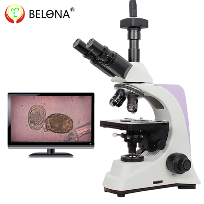 贝朗/BM-500|双目生物显微镜2500倍|医疗|科研|实验|教学显微镜