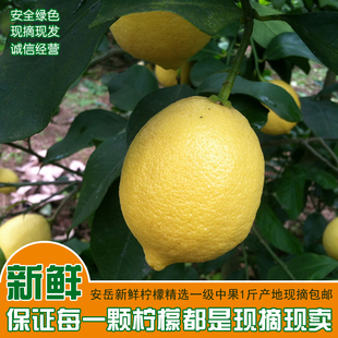 四川安岳尤力克黄柠檬新鲜水果柠檬汁酸500g装3-5个包邮