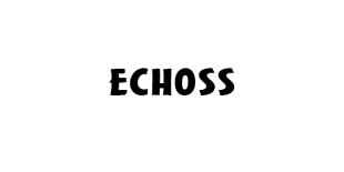 ECHOSS 回声