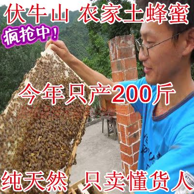 【良心蜂农】伏牛山特产土蜂蜜农家自产纯天然野生百花蜜瓶装500g