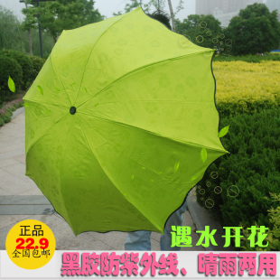 遇水开花晴雨伞 折叠太阳伞 黑胶防紫外线遮阳伞 创意防晒公主伞