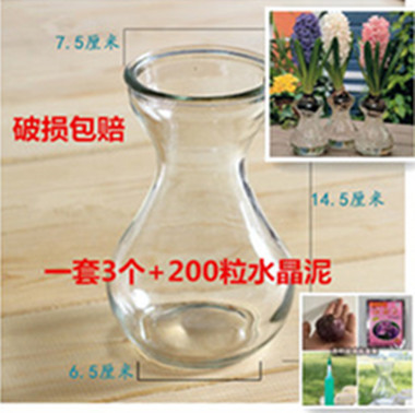 风信子种球花瓶鲜花玻璃透明水培插花瓶绿萝器皿花瓶水晶泥营养液
