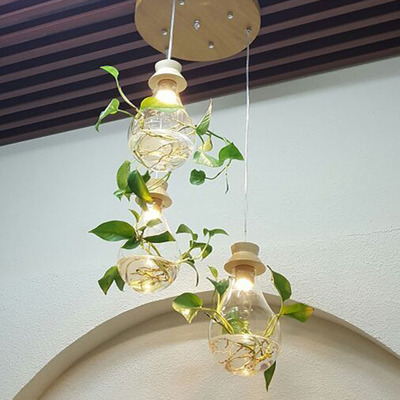 现代餐厅吊灯创意吧台玻璃水养植物吊灯田园艺术酒吧吊灯个性灯