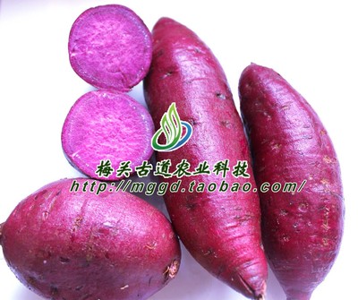 广东包邮2016鲜紫薯番薯紫色地瓜白薯红薯香薯粤北韶关特产5斤装