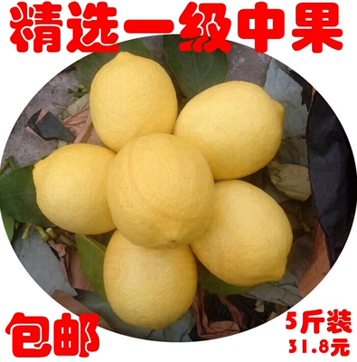 【2016年新鲜采摘】5斤装 新鲜柠檬纯一级果 黄柠檬 柠檬鲜果