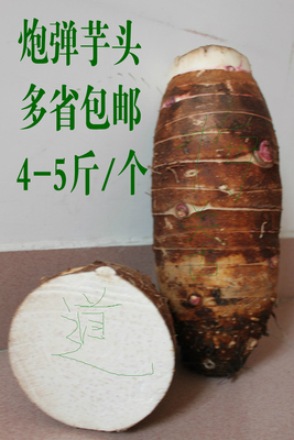 包邮4-5斤/个乐昌张溪香芋新鲜炮弹芋头广东槟榔芋韶关特产