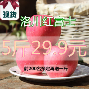 【现货】陕西洛川苹果新鲜水果红富士冰糖心胜阿克苏烟台苹果包邮