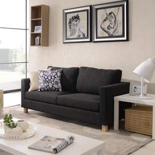 现代简约小户型布艺沙发 可拆洗日式客厅公寓办公双 三人位沙发