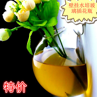 多用途墙壁玻璃水培花瓶 绿萝插花瓶悬挂式玻璃花瓶 壁挂小鱼缸