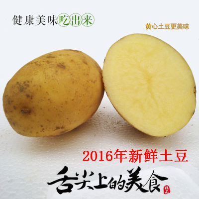 小土豆 新鲜蔬菜马铃薯 原生态土豆 农家自种非转基因 5斤包邮
