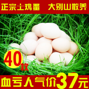 包邮土鸡蛋农家散养新鲜纯天然原生态月子蛋宝宝辅食无激素40枚装