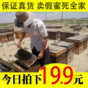 【天天特价】蜂蜜纯天然农家自产野生结晶蜂蜜葵花蜜非进口土蜂蜜