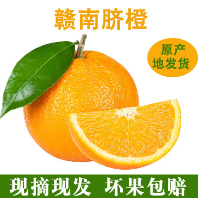 【精品果10斤】赣南脐橙新鲜水果橙子现摘现发甜多汁橙子果园直供