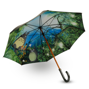 龙猫长柄雨伞男士超大双人创意长杆伞自动开收雨伞男女晴雨两用伞