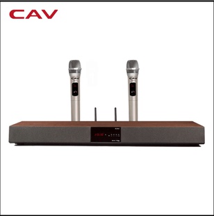 CAV TM12K 电视音响无线话筒蓝牙K歌KTV音箱回音壁 无线话筒 k歌