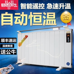 暖力特碳纤维电暖器气家用节能碳晶取暖器暖阁尔壁挂办公室静音