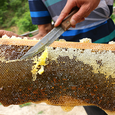 纯天然农家自产土蜂蜜500g野生无添加正宗原生态百花蜜深山原蜜茶