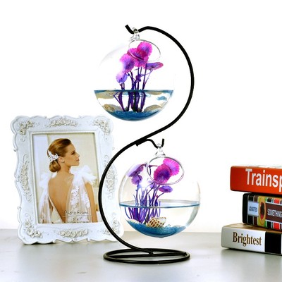 包邮 透明 圆形 生态创意 玻璃鱼缸  水培花瓶 特价简单大方