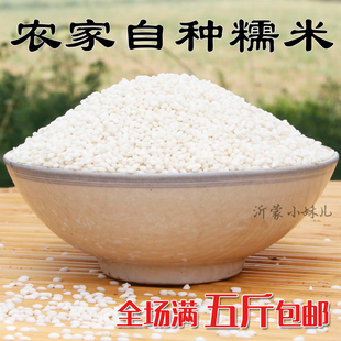 糯米 杂粮15年新米农家江米自产杂粮纯糯米糯米包粽子白糯米500g
