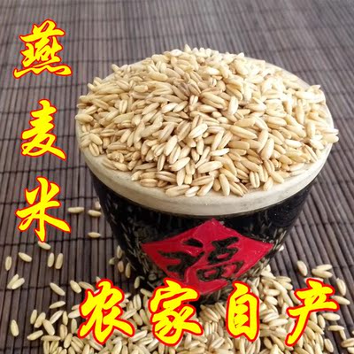 燕麦 东北农家有机全胚芽燕麦米 雀麦野麦油麦莜麦裸麦仁米500g