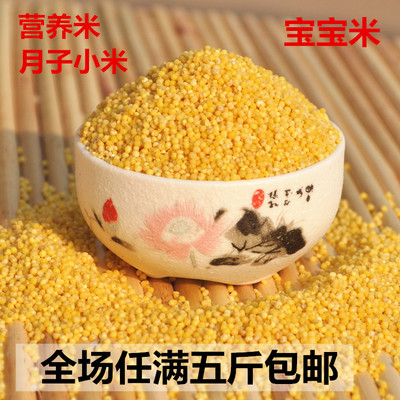 2015年新米黄小米月子米农家自种小黄米有机小米特价500g 5斤包邮