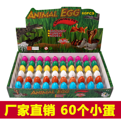 【天天特价】恐龙蛋孵化蛋玩具仿真泡水膨胀玩具蛋创意新奇小玩具