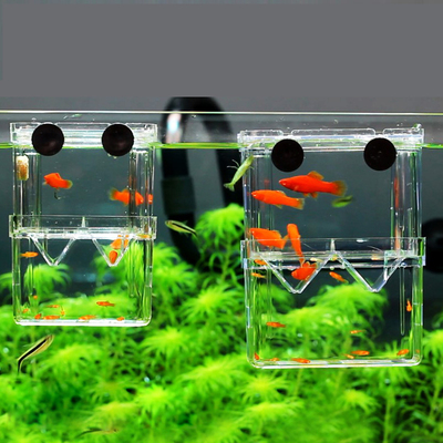 鱼缸亚克力幼鱼孵化盒隔离盒斗鱼盒隔离网幼鱼繁殖盒挂式大号小号