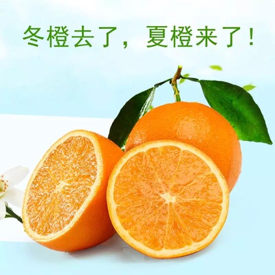 新鲜赣南脐橙汁多味美水果橙子不打蜡不催熟5斤8省包邮60mm左右