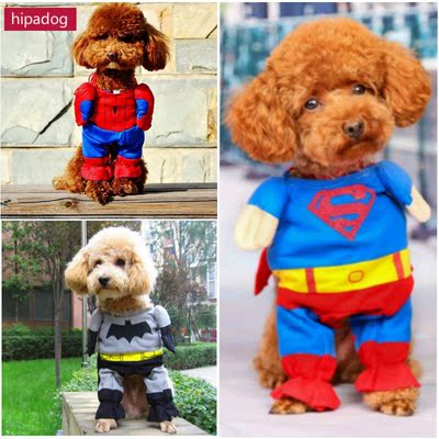 宠物超人衣服泰迪变身装经典爆款超级英雄搞怪服饰狗狗猫咪秋冬装