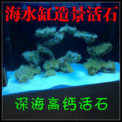 鱼缸造景活石珊瑚石海缸珊瑚缸开缸造景过滤海水活石深海钙藻活石