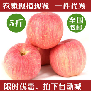 现摘现发灵宝红富士苹果70#新鲜水果脆甜可口带皮吃5斤装一件代发