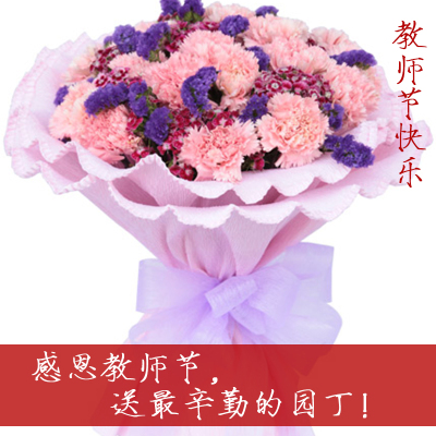 9月10教师节康乃馨上海同城鲜花速递感恩送老师全国可配送