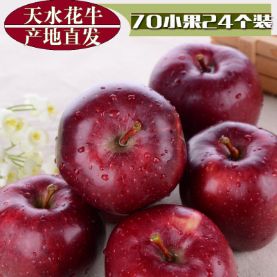 甘肃红苹果 天水花牛苹果 宝宝苹果 新鲜绿色小苹果现摘现发8斤