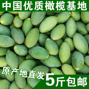 新鲜生橄榄青果 中国优质青橄榄基地 现摘现发孕妇宝宝水果500g