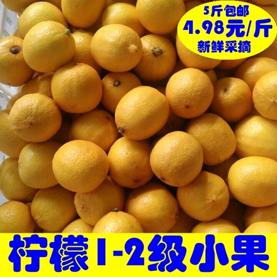【2016年新鲜采摘】4.98元/斤5斤包邮  新鲜非丑果 迷你型小柠檬