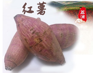 农产品 新鲜蔬菜 新鲜农家自种红薯 地瓜紫薯 番薯5斤特惠装包邮