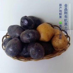东北有机天然种植黑土豆5斤包邮2016包邮蔬菜种子 四季 夏季