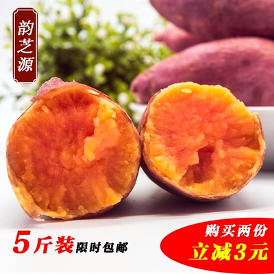 【韵芝源】广西特产富川红薯5斤装包邮 健康食品五谷杂粮