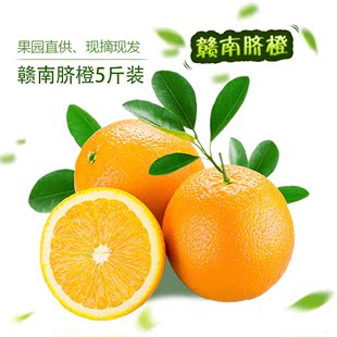 【特级果5斤】赣南脐橙新鲜水果橙子现摘现发甜多汁橙子果园直供