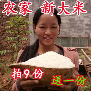 优质山东大米 新米 农家自产有机 香米 晚梗大米 不抛光 散装250g