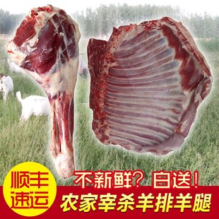 羊排 新鲜羊肉羊排羊腿 农家散养带皮羊排生羊肉500克 羊肉 顺丰